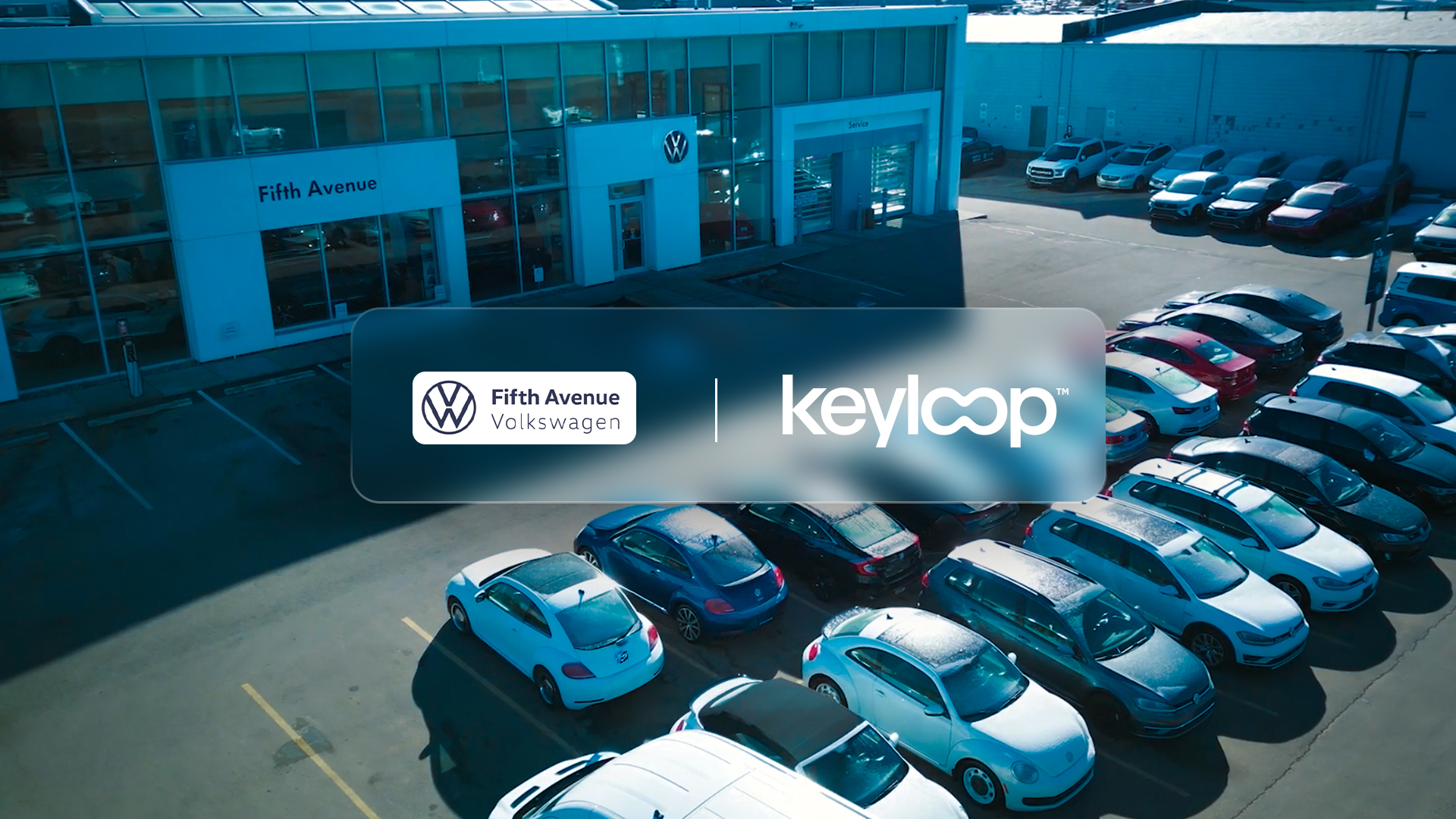 Fifth Avenue Volkswagen